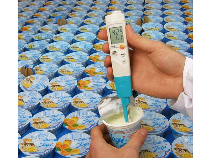 Testo pH Meter For Semi Solid 206-pH2